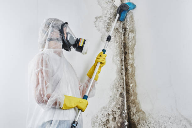 Best Crawl Space Mold Removal  in Bethesda, OH