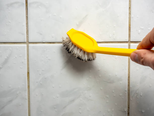 Best Best Mold Removal Companies  in Bethesda, OH