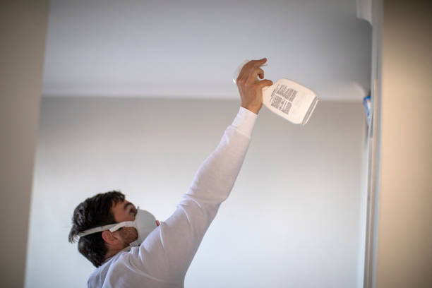 Best Mold Removal Near Me  in Bethesda, OH