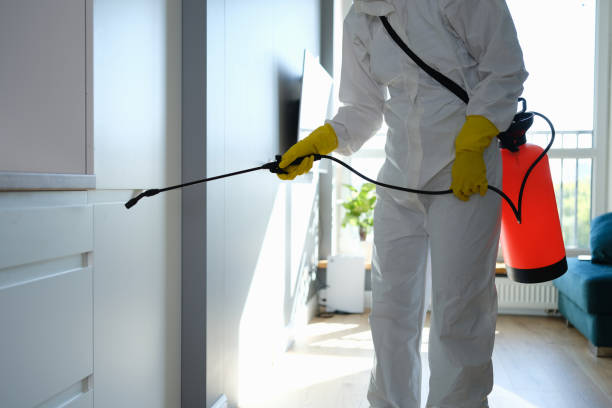 Certified Mold Removal in Bethesda, OH